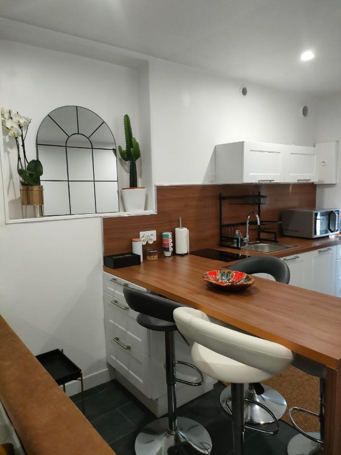 Apartmán Le Petit Cocon - Parking Prive - Lyon Sud Vénissieux Exteriér fotografie